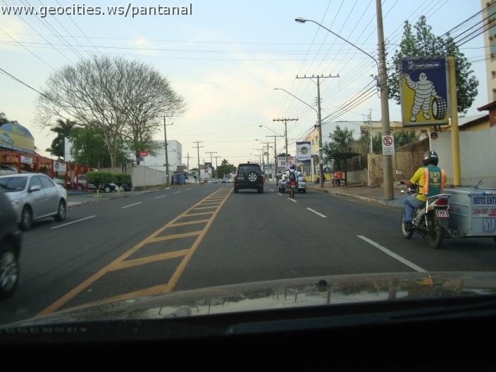 740_geocities_ws_pantanal.jpg