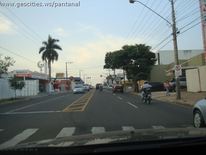 743_geocities_ws_pantanal.jpg