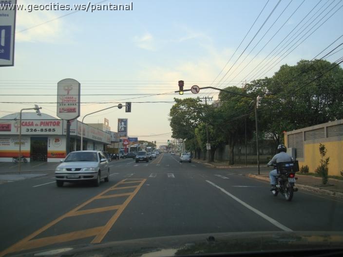 749_geocities_ws_pantanal.jpg