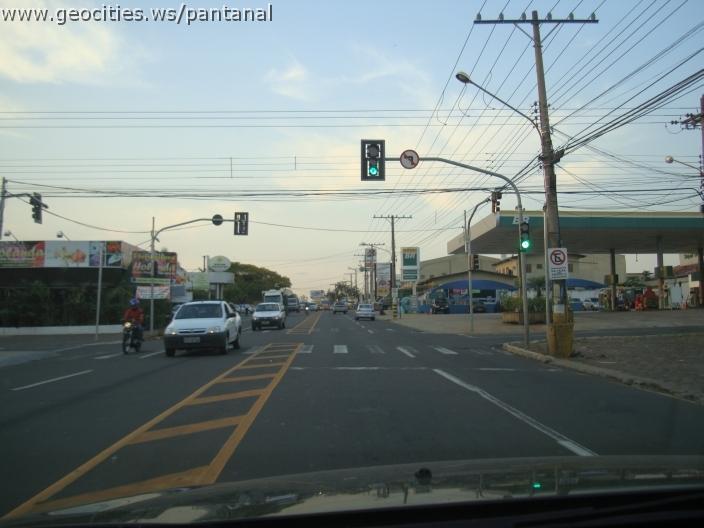 750_geocities_ws_pantanal.jpg