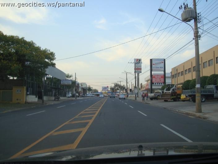 751_geocities_ws_pantanal.jpg