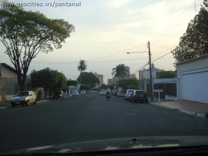 756_geocities_ws_pantanal.jpg