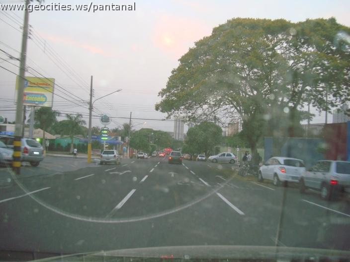 761_geocities_ws_pantanal.jpg