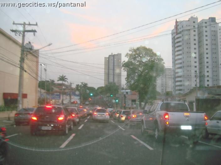 766_geocities_ws_pantanal.jpg