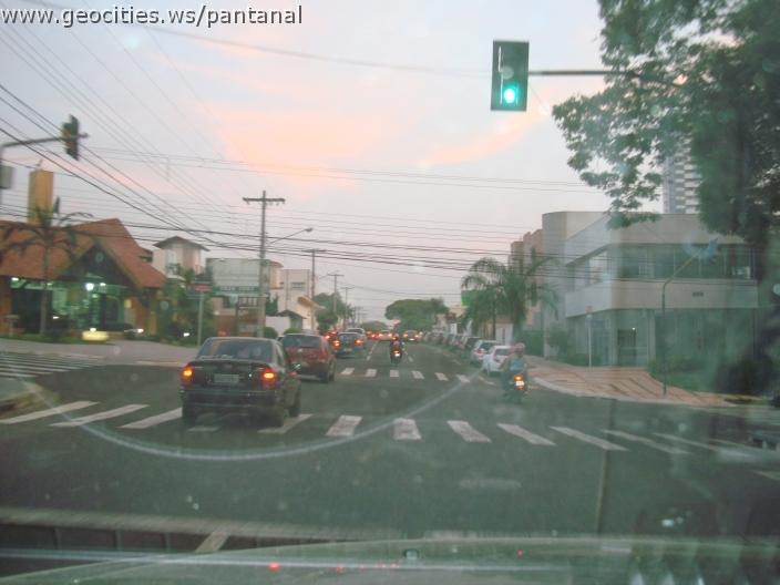 768_geocities_ws_pantanal.jpg