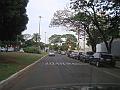 617_geocities_ws_pantanal