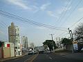 633_geocities_ws_pantanal