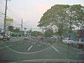 761_geocities_ws_pantanal
