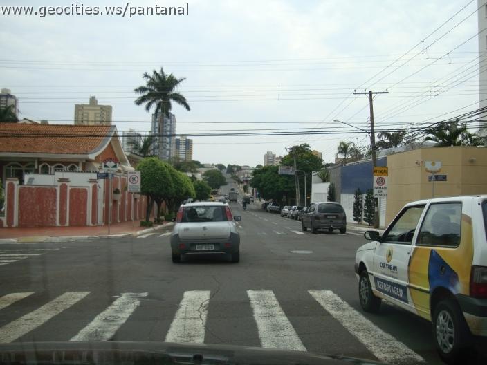 776_geocities_ws_pantanal.jpg