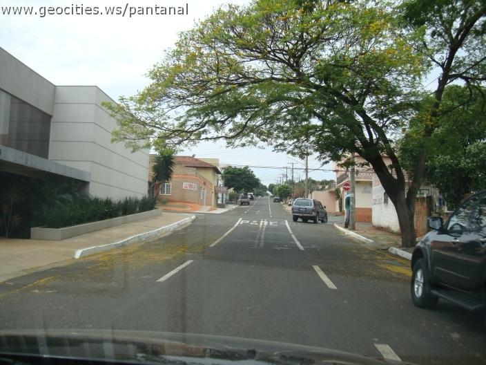 789_geocities_ws_pantanal.jpg