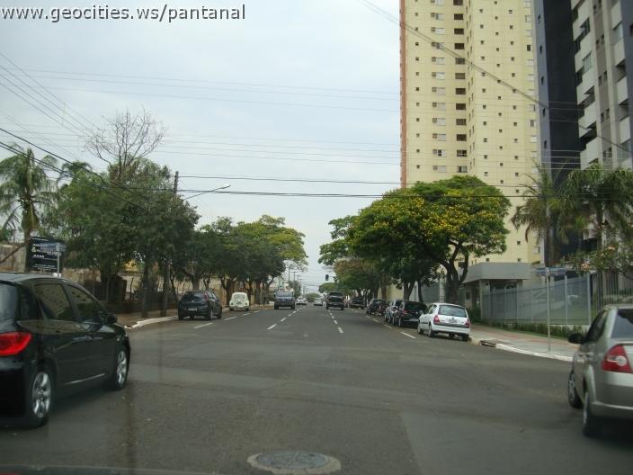 797_geocities_ws_pantanal.jpg