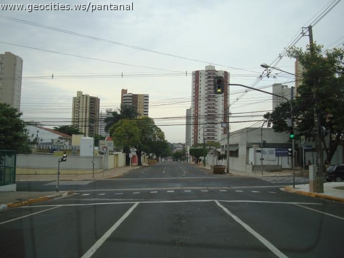 809_geocities_ws_pantanal.jpg