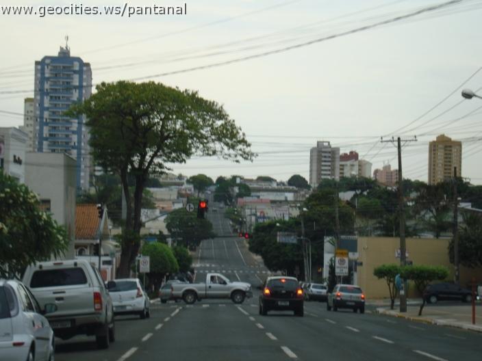 811_geocities_ws_pantanal.jpg
