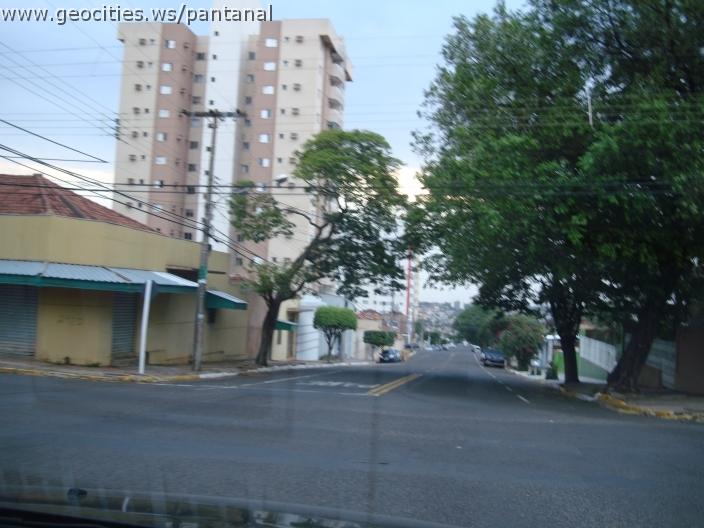 821_geocities_ws_pantanal.jpg