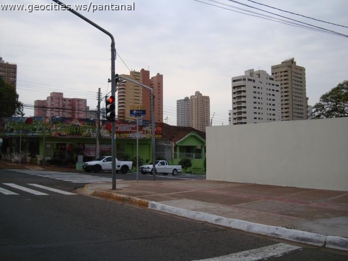 836_geocities_ws_pantanal.jpg