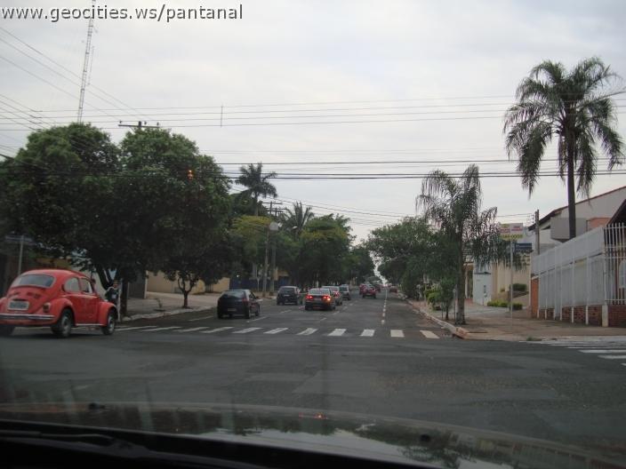 844_geocities_ws_pantanal.jpg