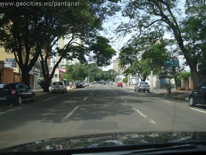 858_geocities_ws_pantanal.jpg