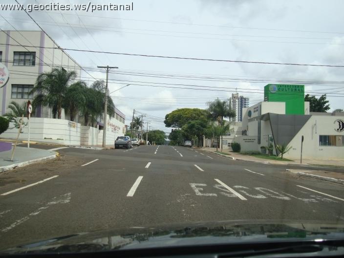 879_geocities_ws_pantanal.jpg
