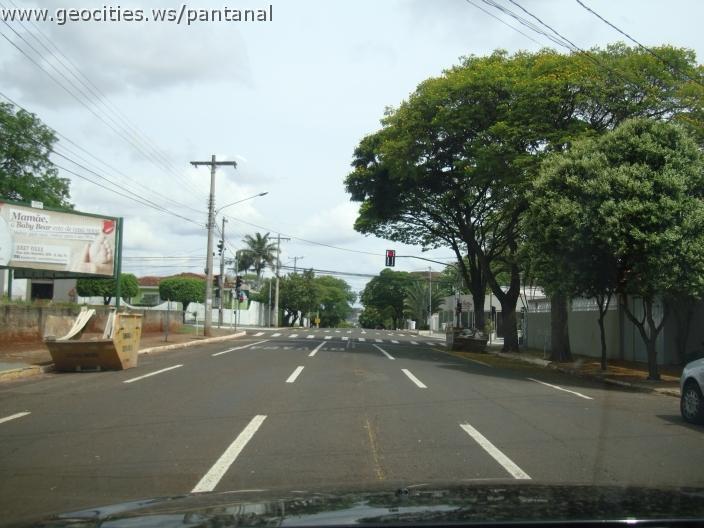 880_geocities_ws_pantanal.jpg