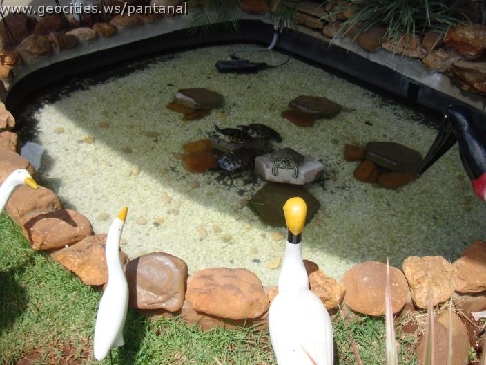 919_geocities_ws_pantanal.jpg