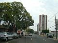 773_geocities_ws_pantanal