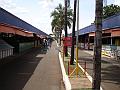 931_geocities_ws_pantanal