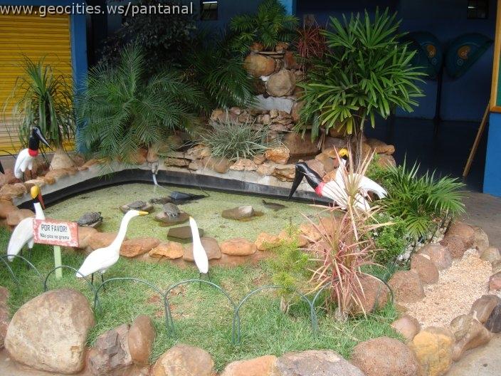 0946_geocities_ws_pantanal.jpg
