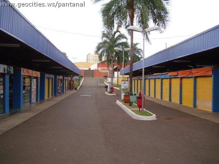 0949_geocities_ws_pantanal.jpg