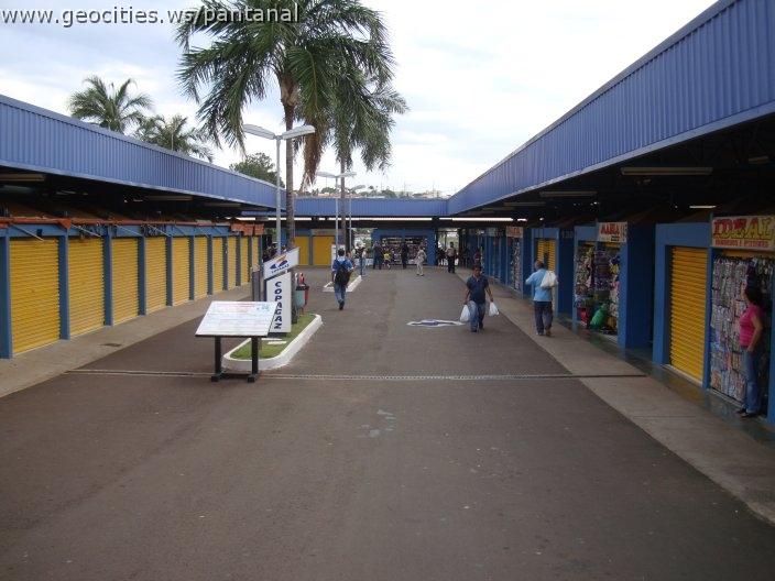 0955_geocities_ws_pantanal.jpg