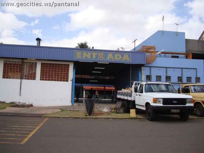 0966_geocities_ws_pantanal.jpg