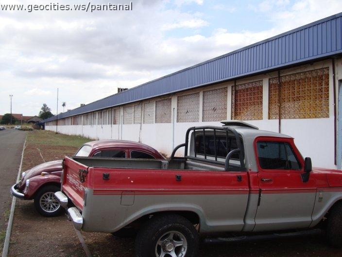 0967_geocities_ws_pantanal.jpg