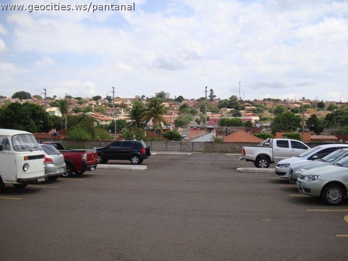 0969_geocities_ws_pantanal.jpg