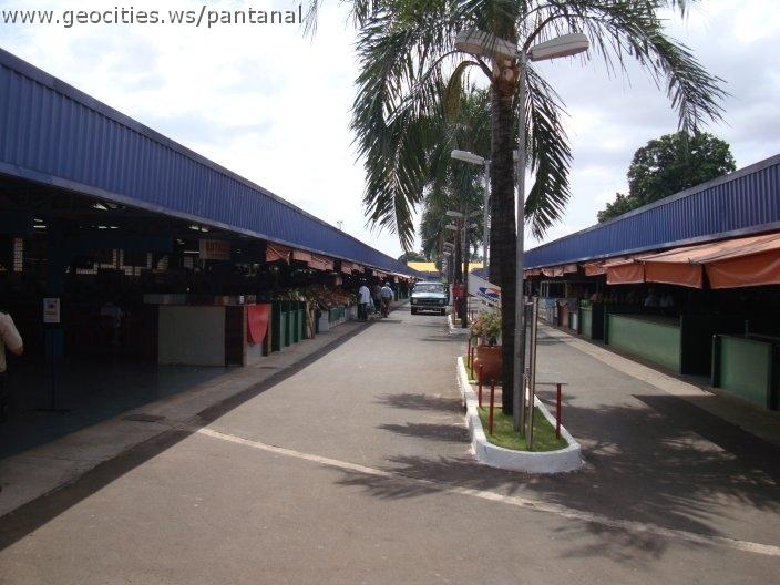 0973_geocities_ws_pantanal.jpg