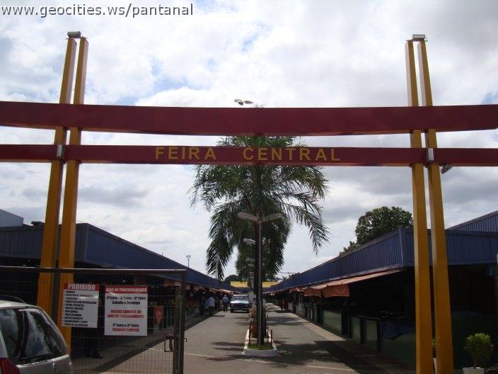 0974_geocities_ws_pantanal.jpg