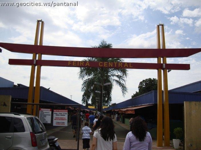 0978_geocities_ws_pantanal.jpg