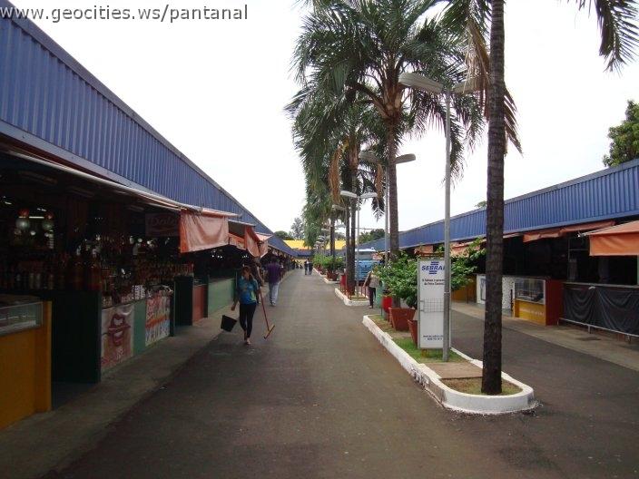 0992_geocities_ws_pantanal.jpg