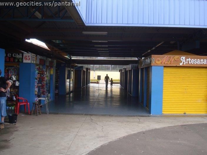 1017_geocities_ws_pantanal.jpg