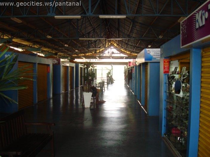 1018_geocities_ws_pantanal.jpg