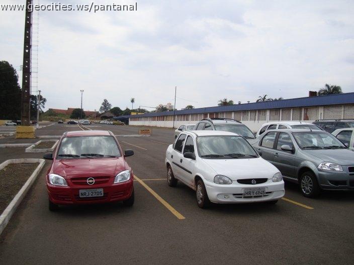 1027_geocities_ws_pantanal.jpg