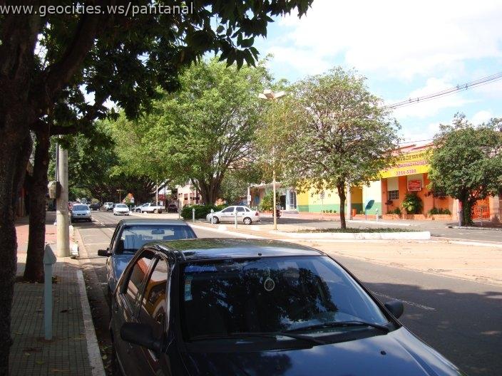 1153_geocities_ws_pantanal.jpg