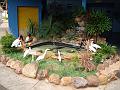 0948_geocities_ws_pantanal