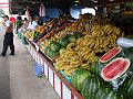 0990_geocities_ws_pantanal