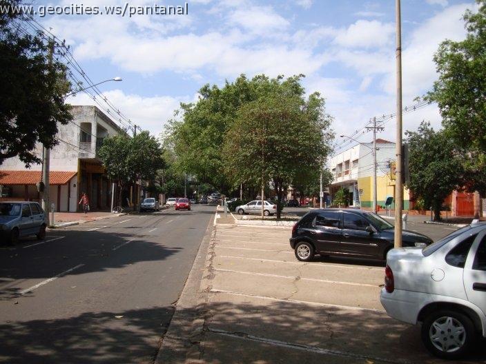 1168_geocities_ws_pantanal.jpg