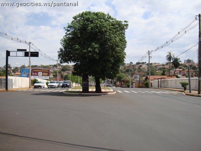 1177_geocities_ws_pantanal.jpg
