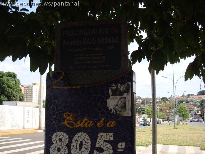 1181_geocities_ws_pantanal.jpg