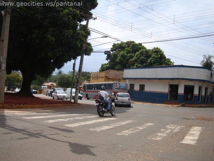 1206_geocities_ws_pantanal.jpg