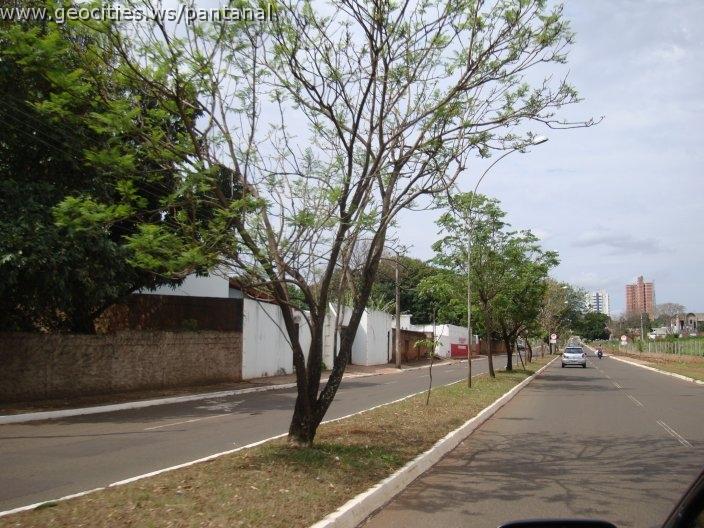 1212_geocities_ws_pantanal.jpg