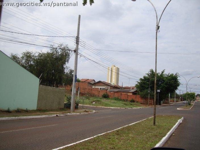 1216_geocities_ws_pantanal.jpg