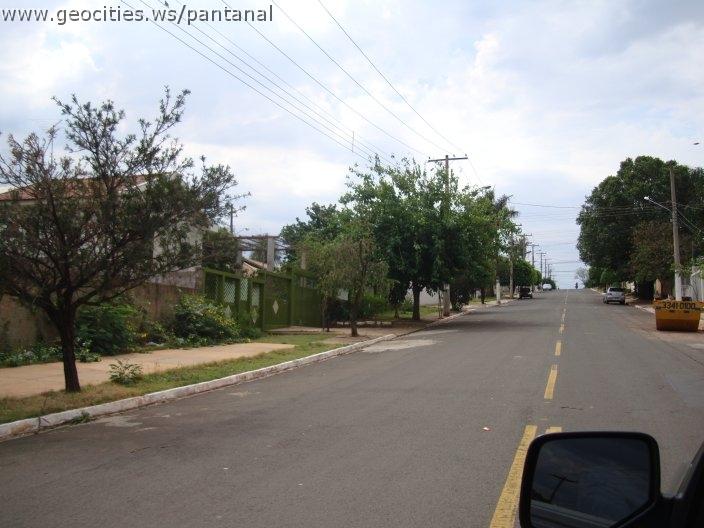 1218_geocities_ws_pantanal.jpg