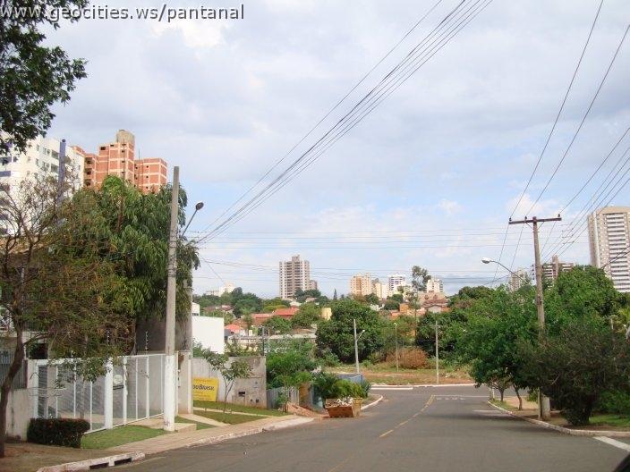 1223_geocities_ws_pantanal.jpg